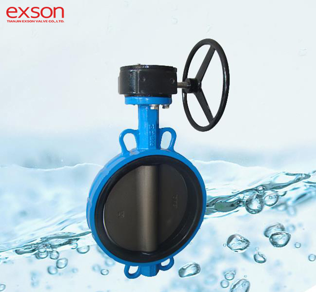 Din Butterfly Valves